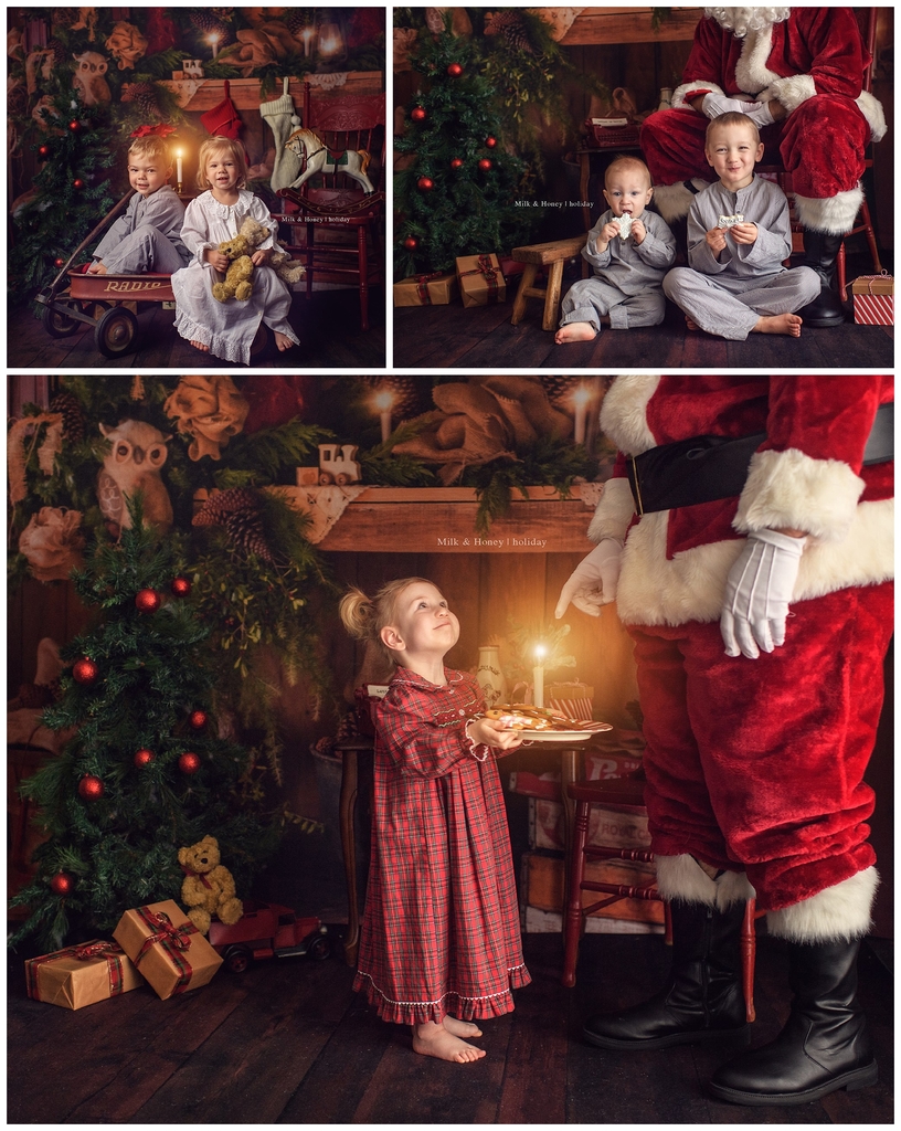 holiday mini-sessions