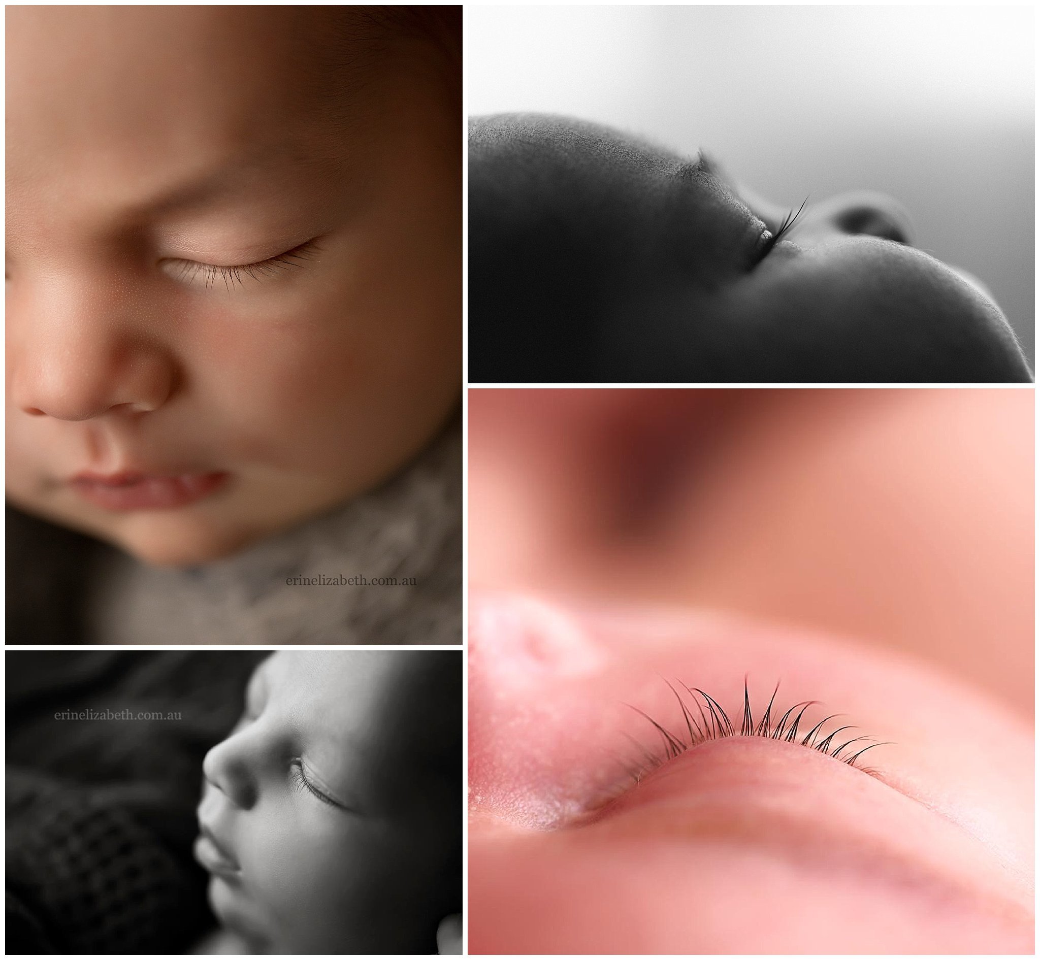 newborn macro lashes