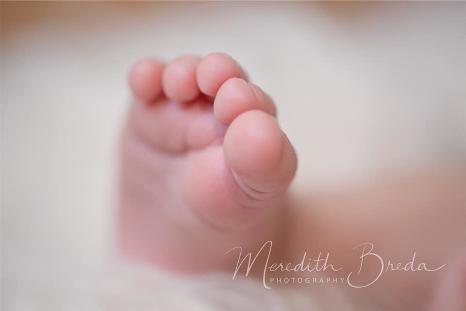 macro photograph of a newborn foot