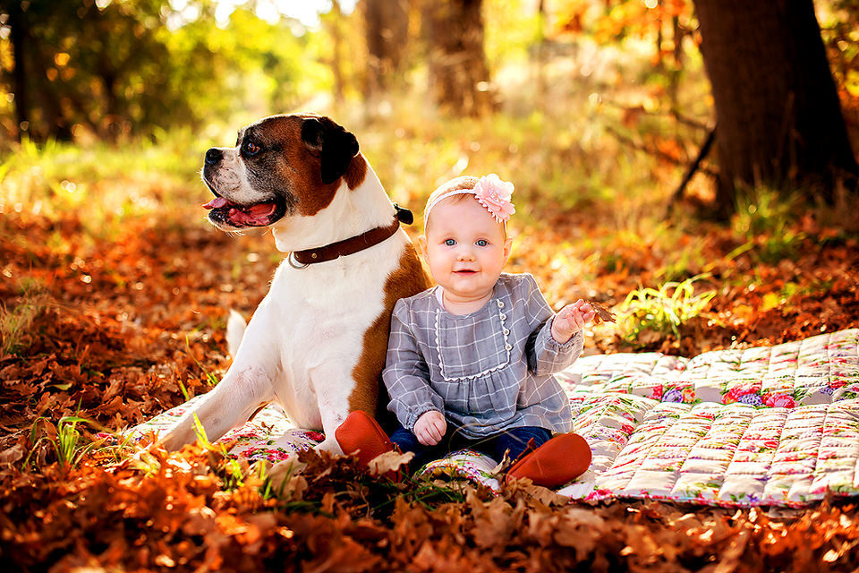 baby and dog sitting in fall leaves