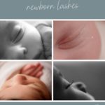 macro newborn photos