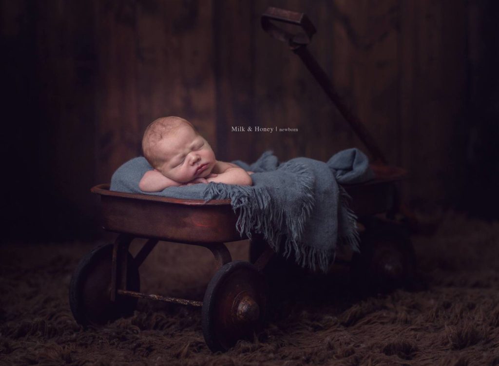 newborn posing in wagon
