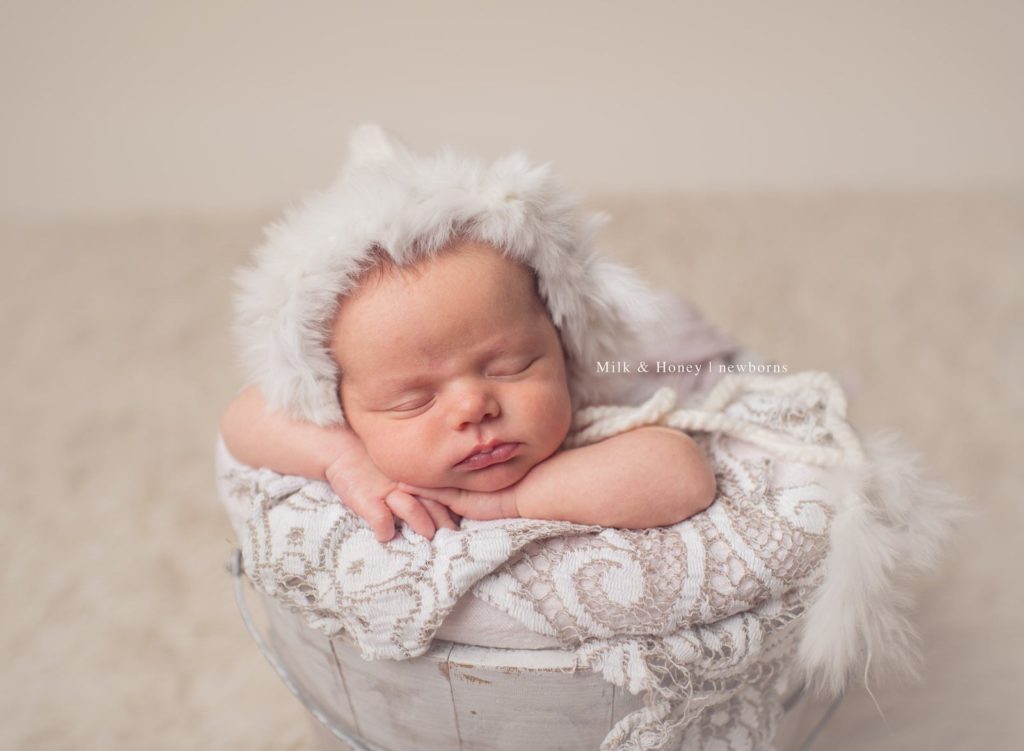 baby in bucket at newborn photo session