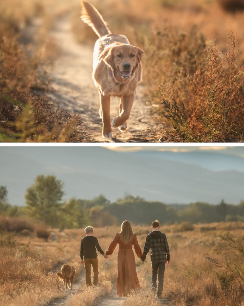 Dog running toward camera frozen sharp at fast shutter speed, outdoor family photography session